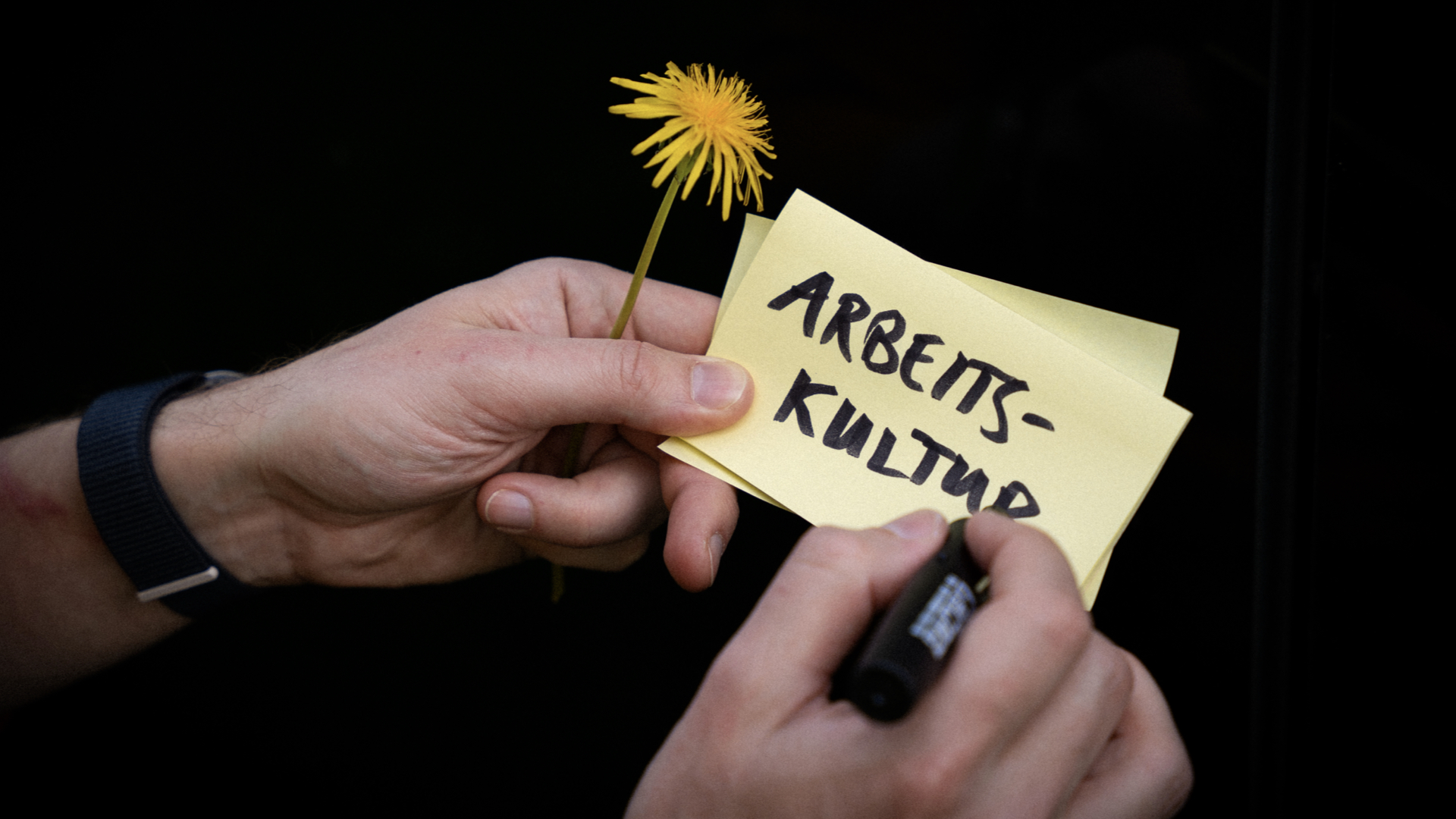 Psychologische Sicherheit: Der unterschätzte Erfolgsfaktor in der Strategiearbeit